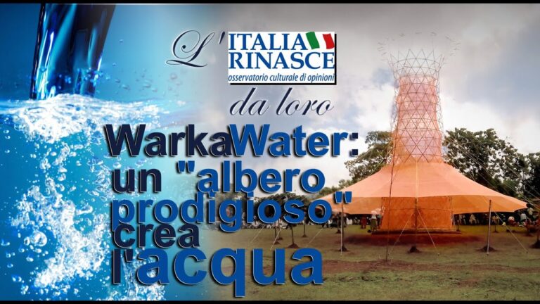 Guida per la costruzione di un sistema Warka Water fai da te
