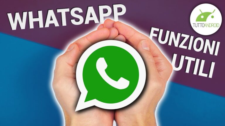 Cerchio blu su WhatsApp: tutto quello che devi sapere